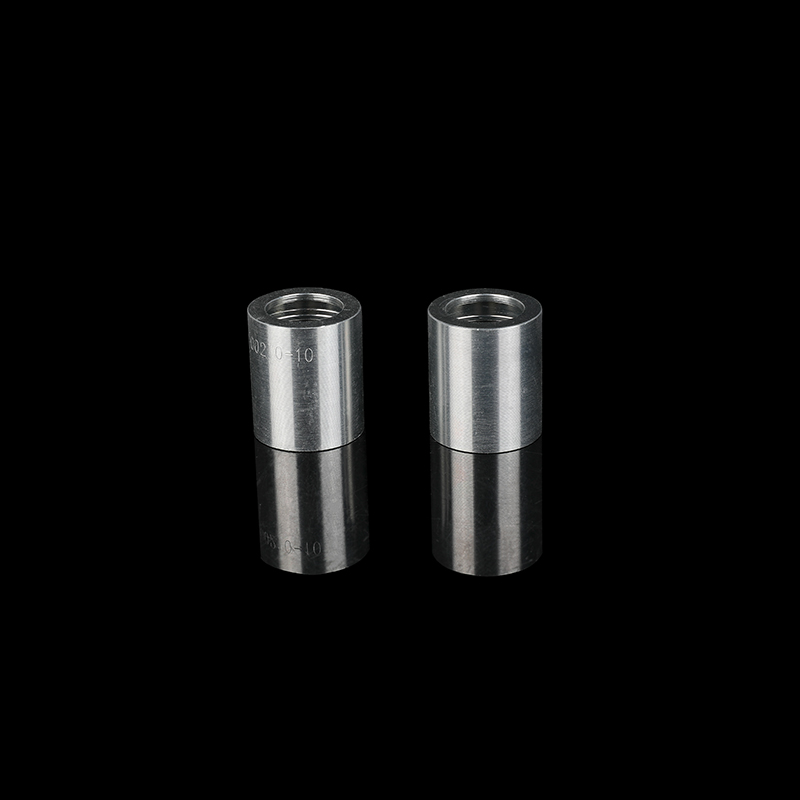Ống thủy lực quá trình rèn nóng Ferrule 00210-10